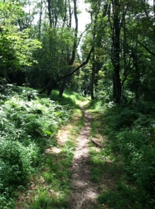 pretty trail